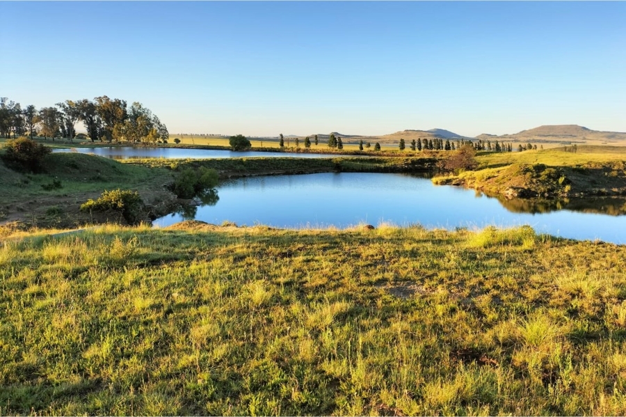4 Bedroom Property for Sale in Ladybrand Rural Free State